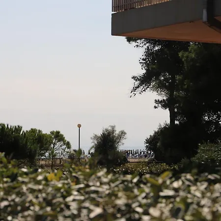 Biloba-gemini * Bibione